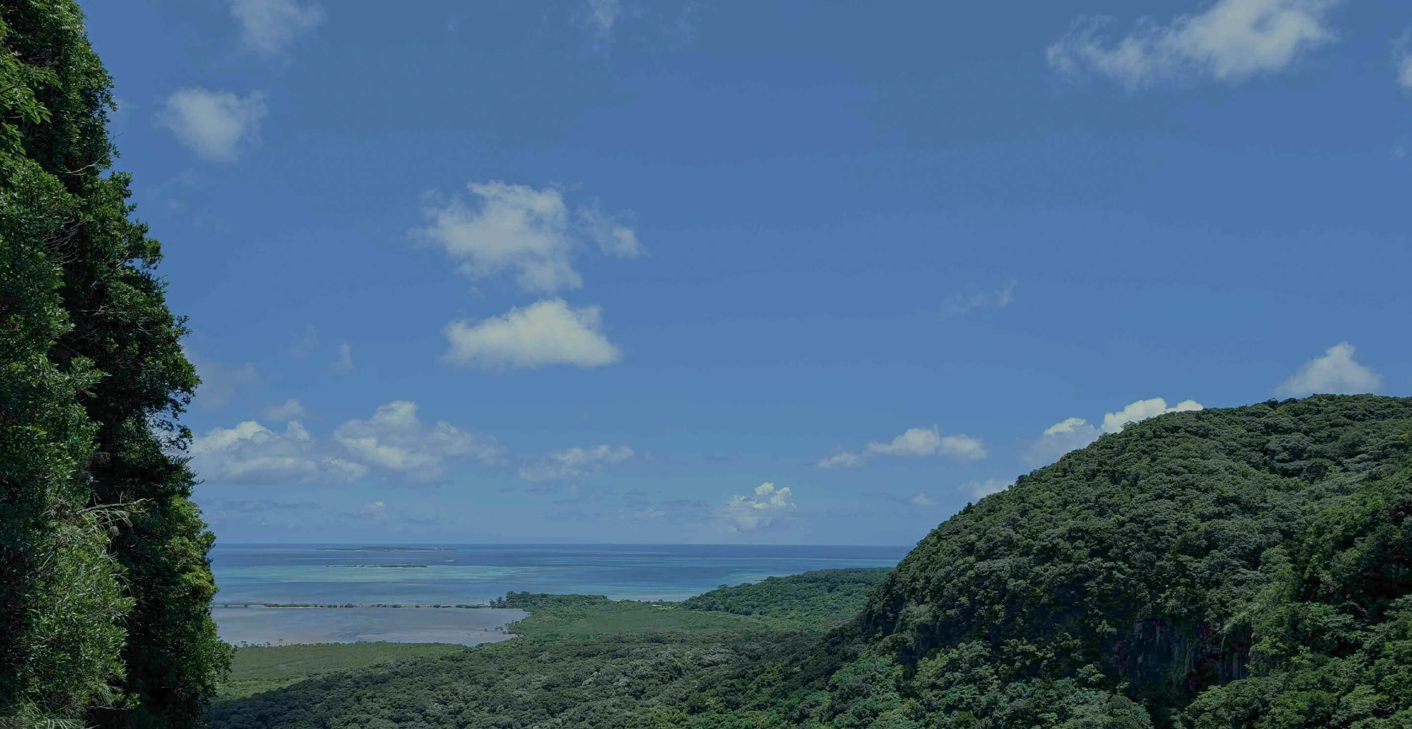 日本／沖縄県 西表島